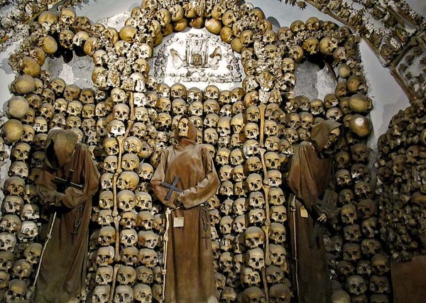 Capuchin brothers 11