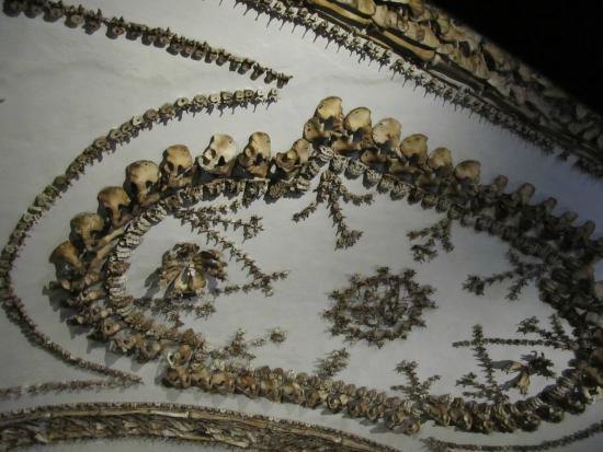 Capuchin brothers 21